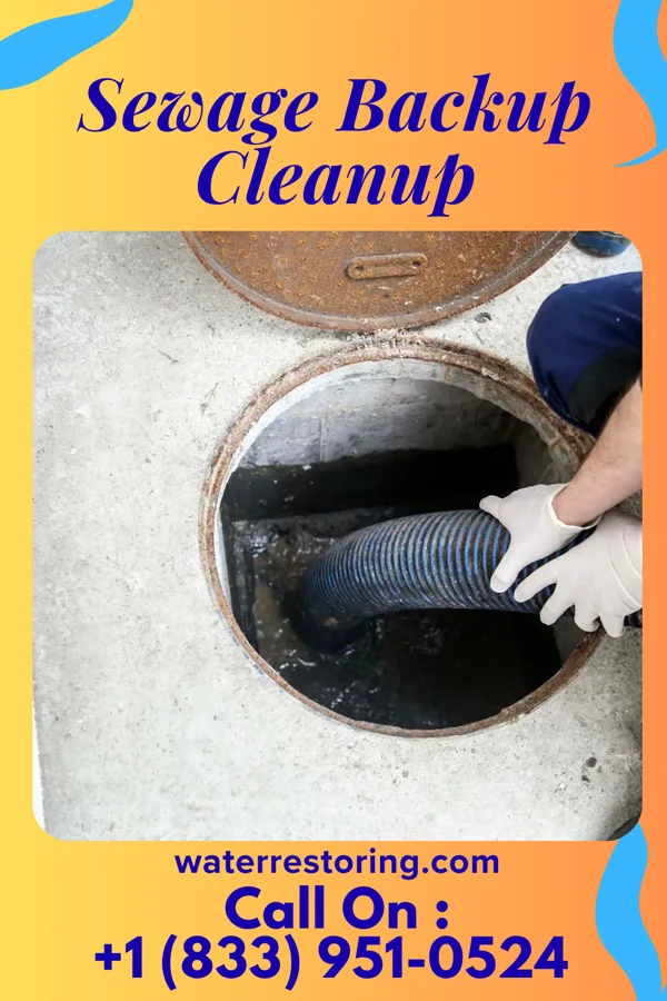Sewage Backup Cleanup in Quenemo, KS