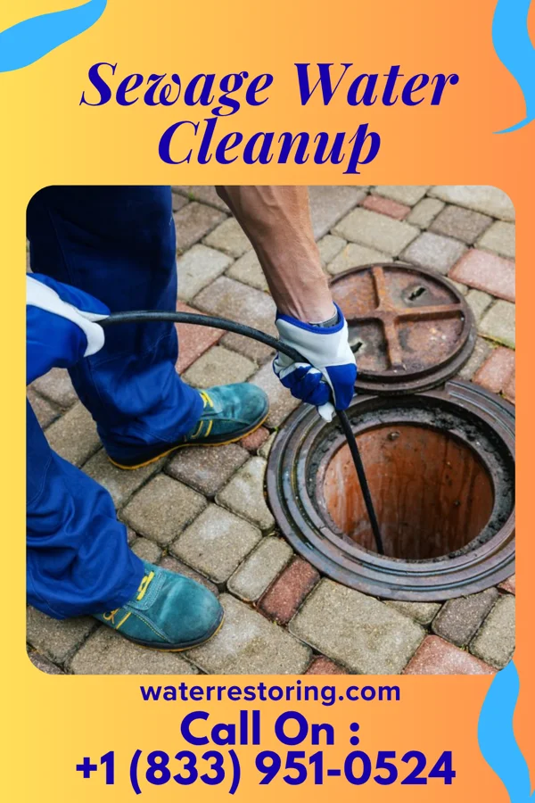 Sewage Water Cleanup in Quenemo, KS
